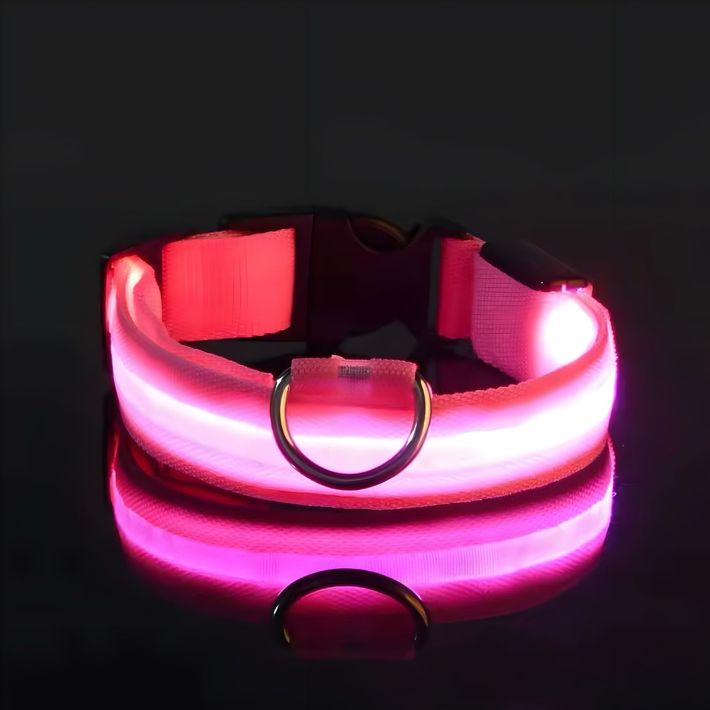 LED Dog Collar